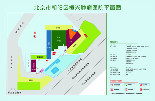 美女吃男人大鸡吧视频北京市朝阳区桓兴肿瘤医院平面图